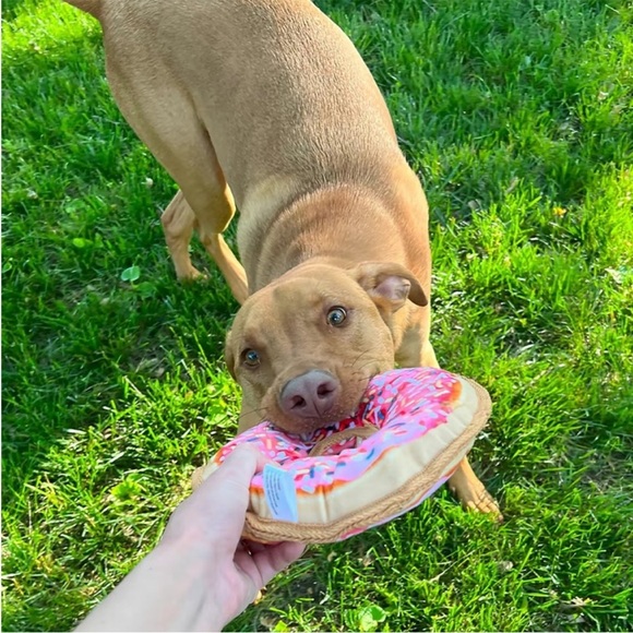 Doggijuana Donut Tuffer Chewer Toy - Picture 6 of 12